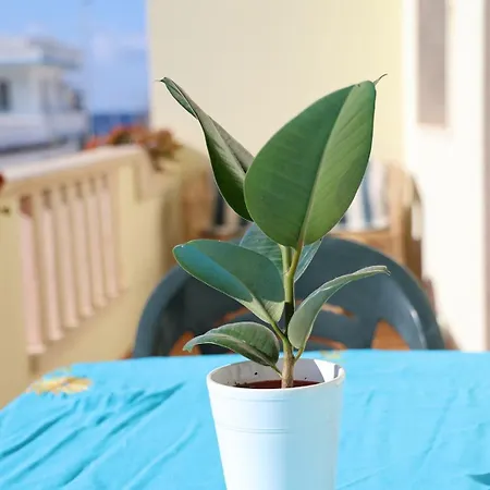 Apartment Vento-soffio Torre San Giovanni Ugento
