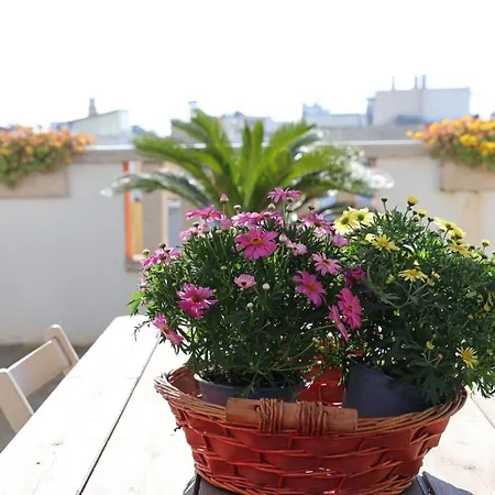 Vento-soffio Apartment *